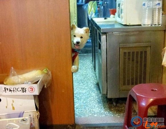  ���l�r����m�����W�y���N����l�e�h�˓�����