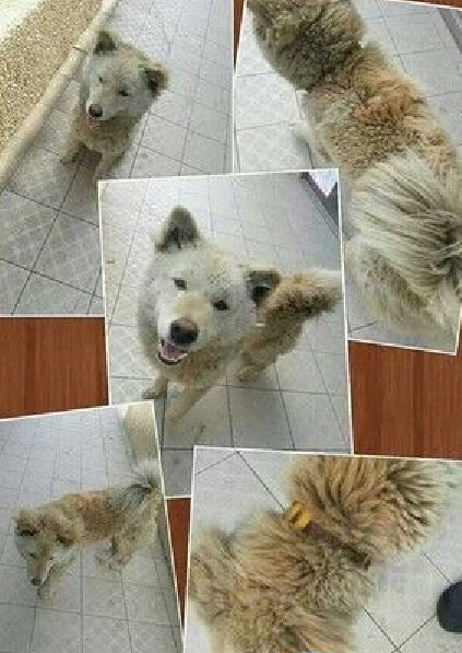  ���l�r����m�����W�y���N����l�e�h�˓�����