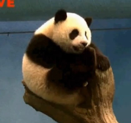 ���n�]ħ�]�D�o���ĵ{�R�o�r �L�`�r�s���Yħ�H