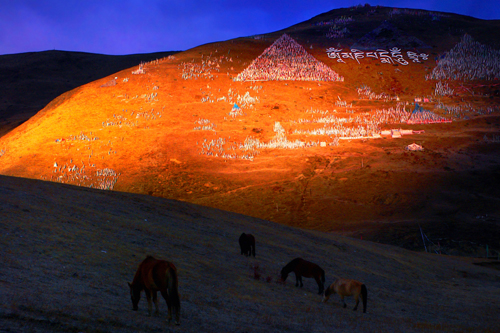 ���ɣO�Ȕ��� ���}�O �s�襤�a