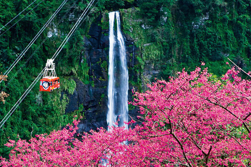 ���ťʕ[�ޯQ���v�s���YͲ�d���H