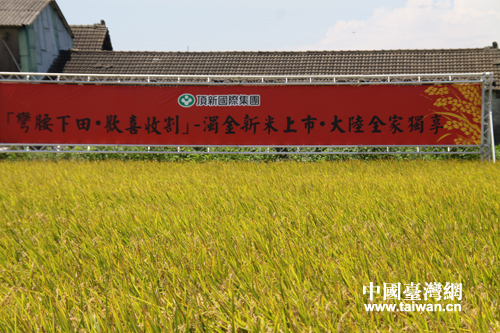 ���O���Y�B����g����ä���W�I �N�� ����