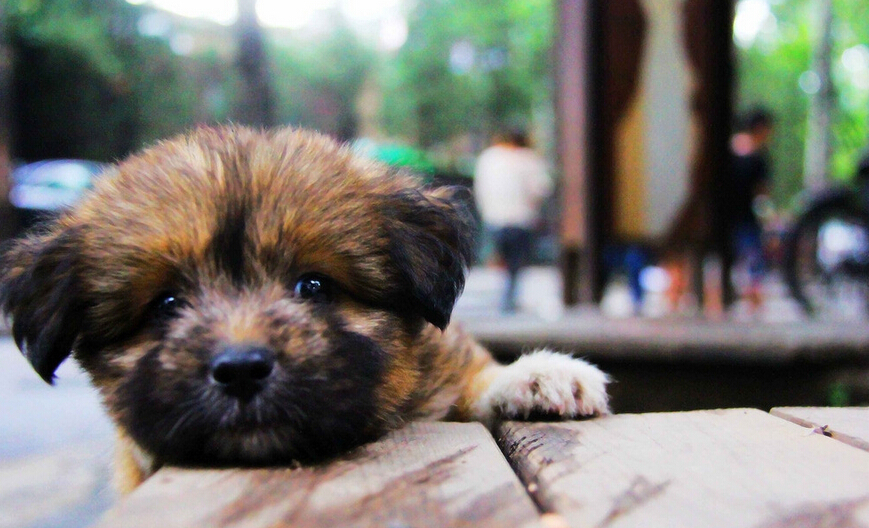 �q���\�J�I�l���o ���������鴢�R�߿�þ�I�l