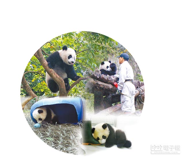 ��]�}�}���n���e�W�� ���\�����U