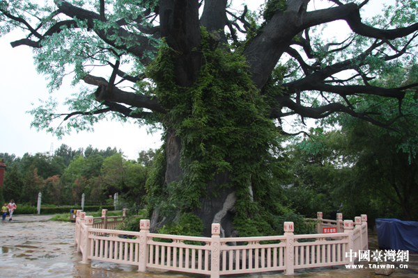 ���ʓr������