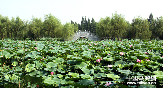 31��ޣ��w�C�y�g���В����;���֣Ÿ�X�����В��v��Ÿ���d����