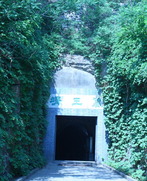 �t�_�o�����ä���W�I �����ᥧ��