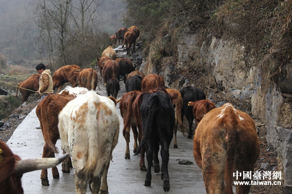 �ݐ����n�ܰ��f�ԕ��l�]�H�H������I�O�l�Z�Y�]������ä���W�I ������ ����