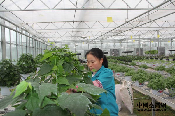 ���[�������I�����}�rħ����