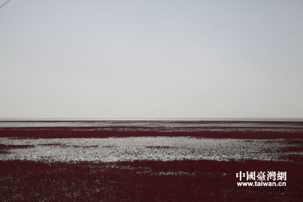 ���s�����y���K�Y�ː���ä���W�I�ݕ_���ݥ���