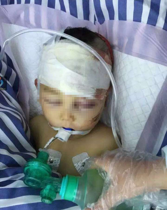 ������ՔH����ɹ� �~�Y������Z�Z�{�j(��)