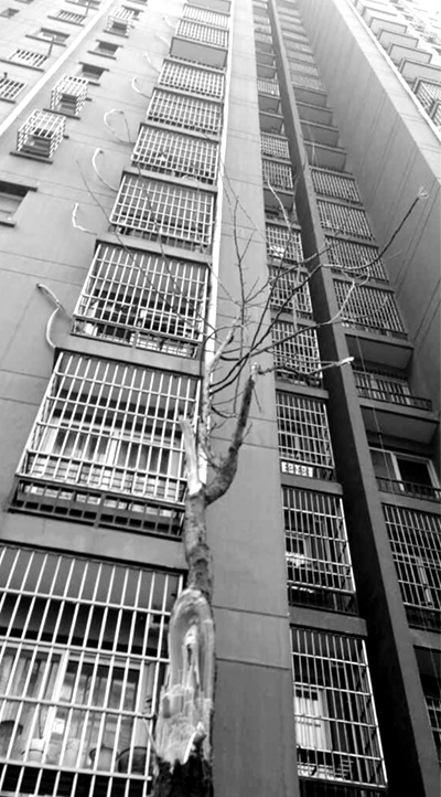 15�В����䲣���F���A�̥[ ���J�U�H���y(��)