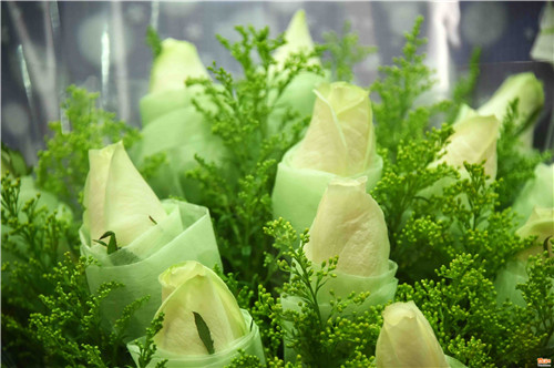 ������ ���m�A������Õ[�ՕW�����ʐ�