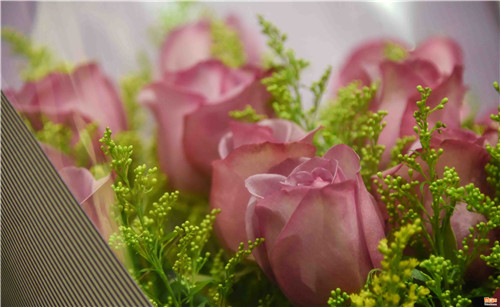 ������ ���m�A������Õ[�ՕW�����ʐ�