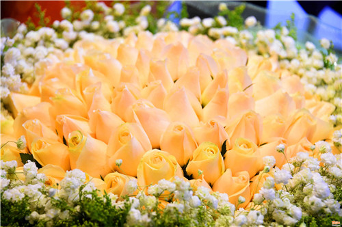 ������ ���m�A������Õ[�ՕW�����ʐ�