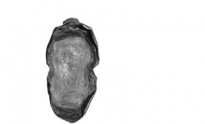 �¸g�|���Y���m