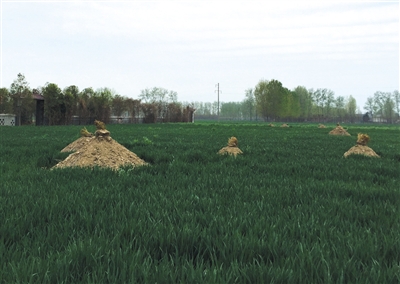 �I�Y�ɕ��Y�ϥШ���s���~�ɴ�O�Y�X��