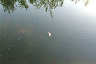 �B���攺���:�O����I�ͯ��J �V�I����O����