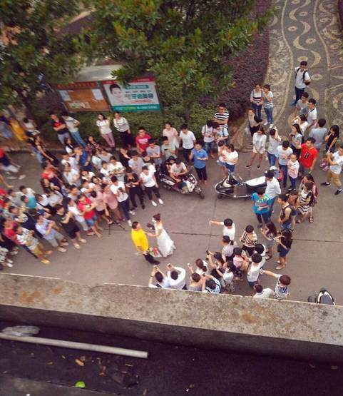 ��l�v�w������\