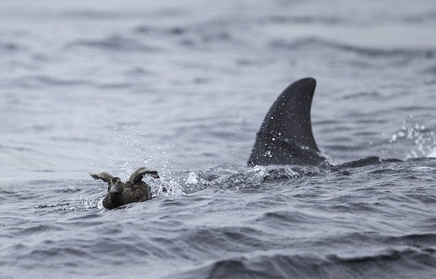 ����|��!�Y���w�P���������ݪ�����I