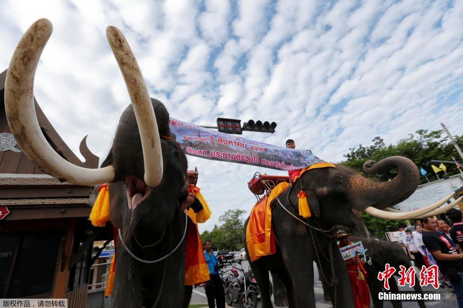 ��ä���Υδb���{�� �n�s���u����y�[