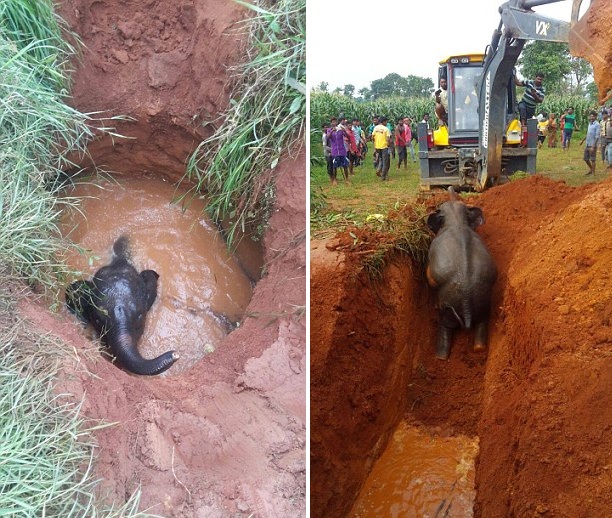 ���Ωb���o���� �ά|�|�L���B�٢w��