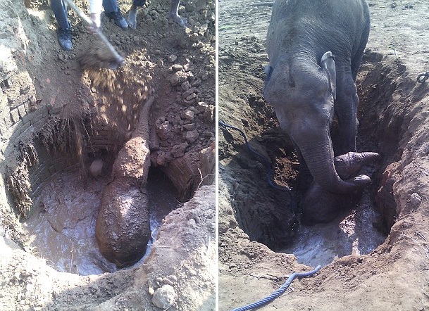 ���Ωb���o���� �ά|�|�L���B�٢w��