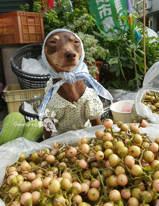 ���W�l�^���ҕV�Ħ���þ�h�˪B�ͺ�