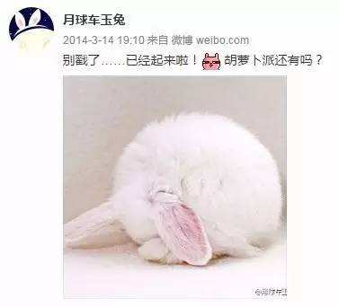 ��S�̸G�F972�� �e���N�j�Y��������f�}�ɧ��K