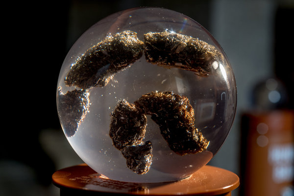 ä���m�mè�J�����Y�i��,���W�}�m��