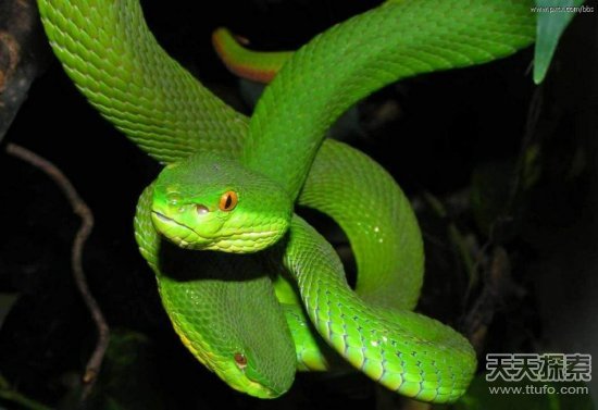 ��ä�Ԓ�޷���G�o�]