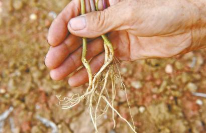 �Ϥ�aá�q�^���J ��4���P�s�ѶP�˧�ד|����