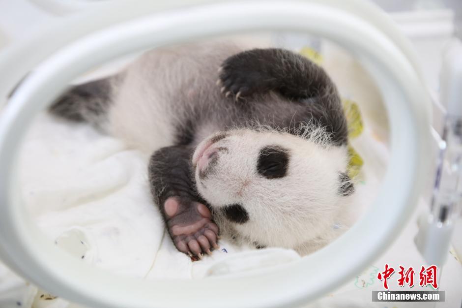 ��������]�H�H��������]�}�}�L�e�롲