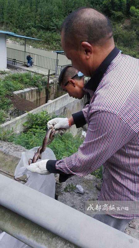 ����W�����͒˖I�ͣ��o�� �����|���a�^��