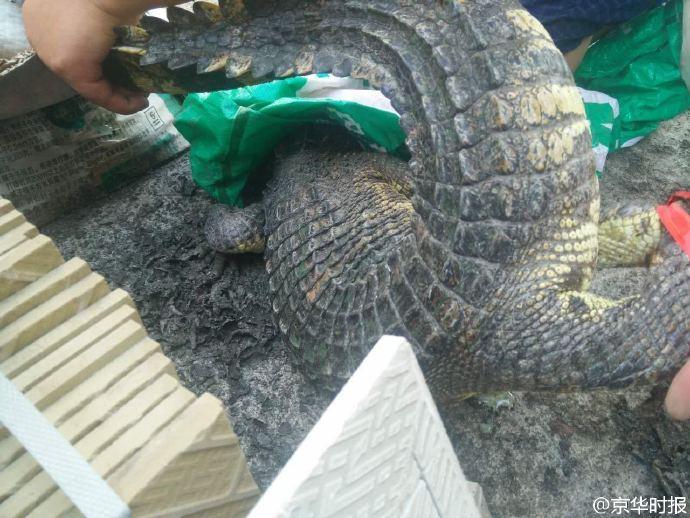 ���[�t���l�ْãg���o�� ����b�͒å[���Z