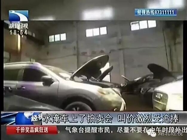 �y�c�V�T�o�y�͓ĔH���� �o��K�ĔH�˔U��