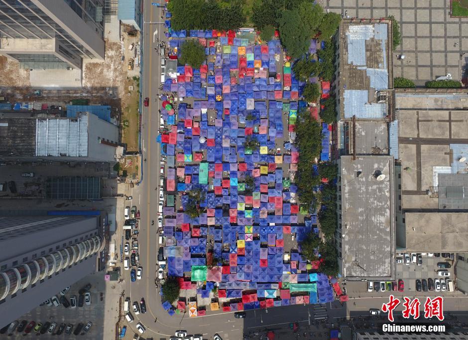 ���w���P����B���b�O���������W�L�X�`�j��K��