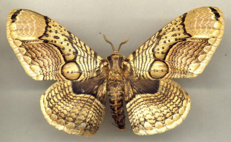 ֵ֒ɣWK`Ѥ˵\LIE? ֵ֒ɣWK`Ѥ˵\LIE?