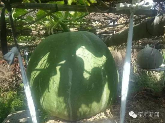 ��b1�l�˶P�|5Ť���L�R�h�� �{����R����F1�g67