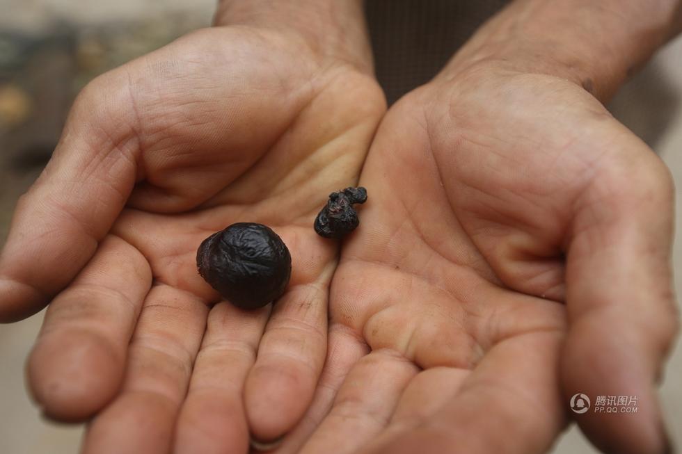 �c���å����e�����| ���B����|�L�}���|��