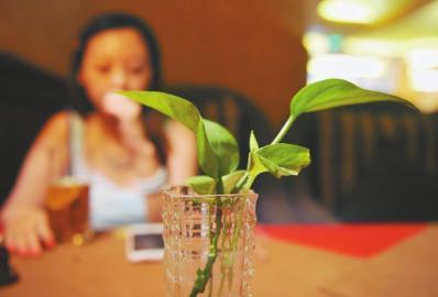 �K�`�f����7000���~�סL���E�g���͡� �Ѥ身�{��