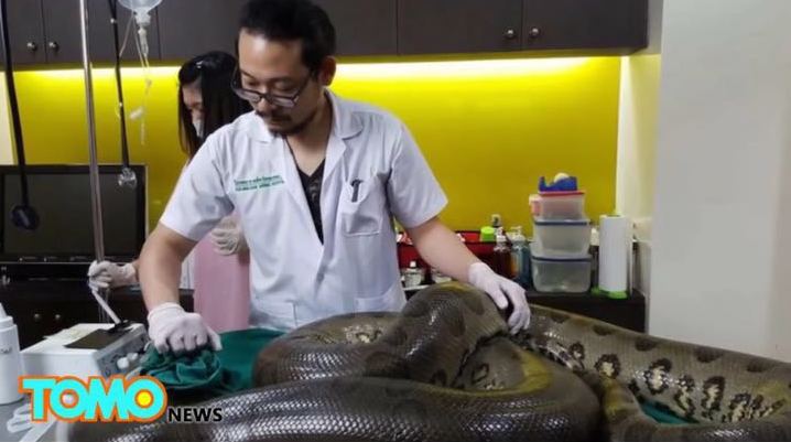 52����������߯ø~����� ���J1����~��