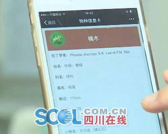 ���ʽ���\�o������e���̡L�}�驷����(��)