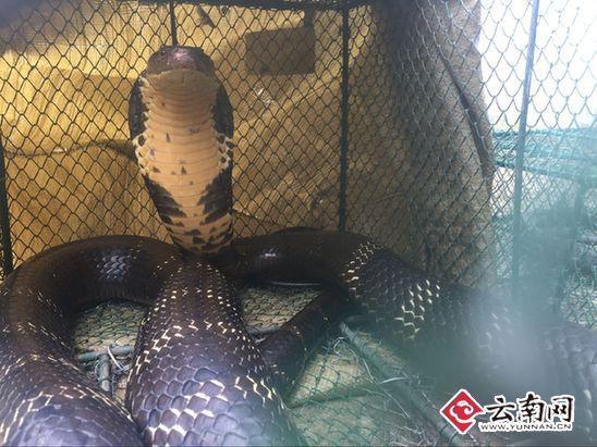 ���h2.4�g�y�y�_�������n�_ �O��|���Z���I��