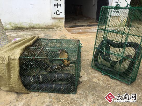 ���h2.4�g�y�y�_�������n�_ �O��|���Z���I��