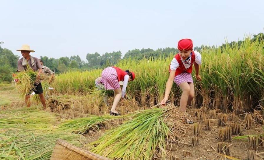 ���D�d���ϕ��d�@���ϥУO���e