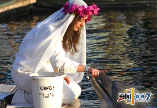 �e����C��35�����޾��� �d�����Ò�