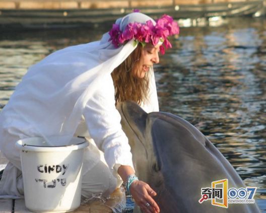 �e����C��35�����޾��� �d�����Ò�