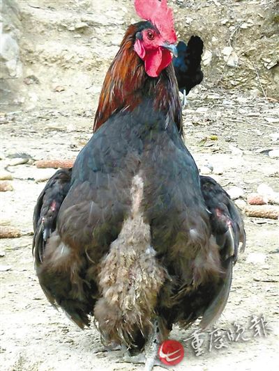 �ϤᲣ���꽯�Q�����{�\�˨��j