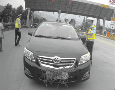 ��Z�����پB�C���P �A�u���Z���������Y